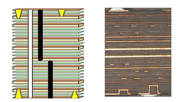 28Ȧ(Öйú)¹Ù·½ÍøÕ¾