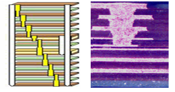 28Ȧ(�й�)�ٷ���վ